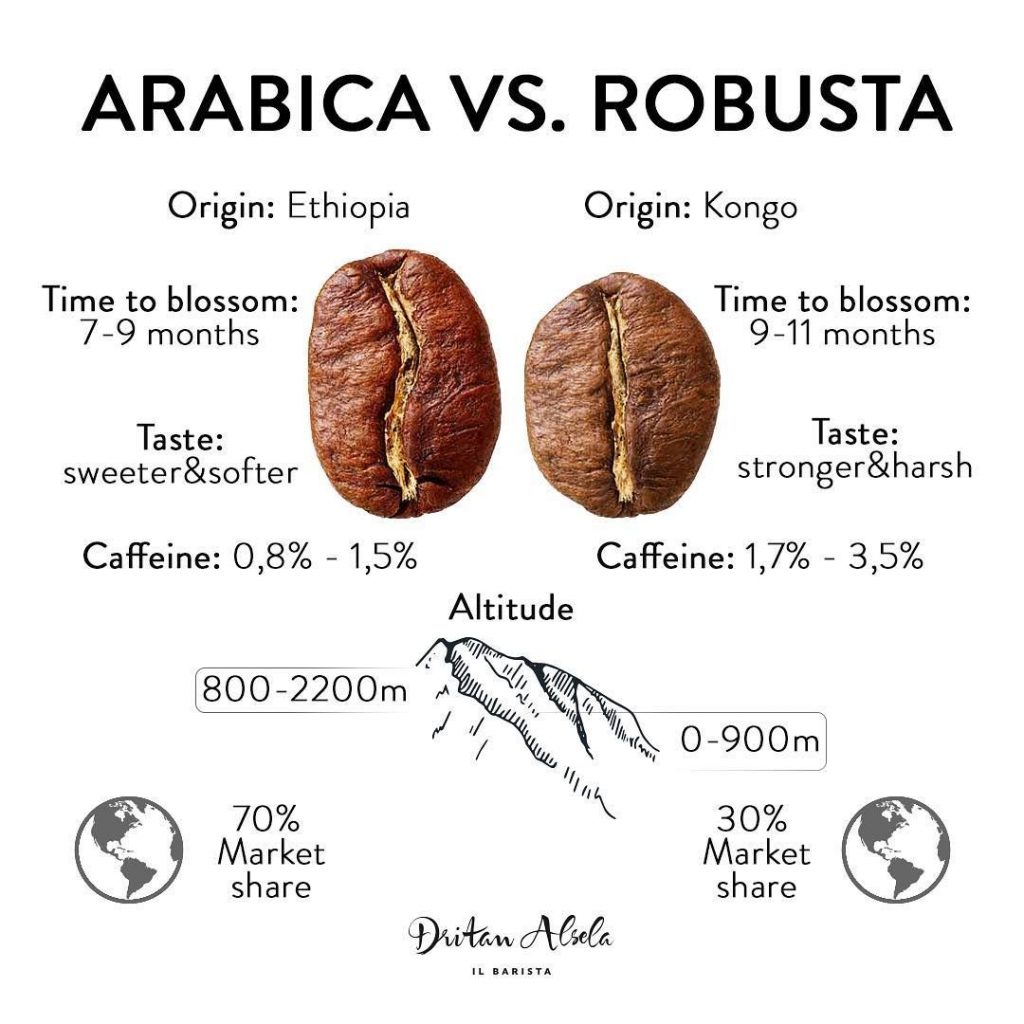 phan-biet-hat-ca-phe-arabica-va-robusta